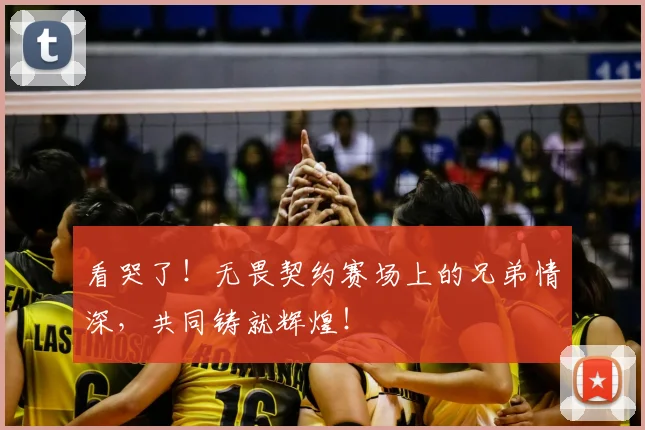 看哭了！无畏契约赛场上的兄弟情深，共同铸就辉煌！